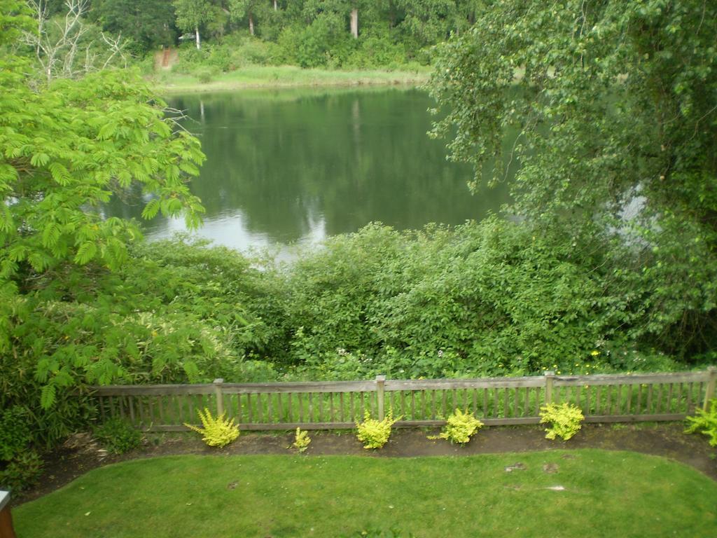 Lewis River 3*